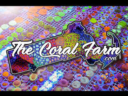 The Coral Farm